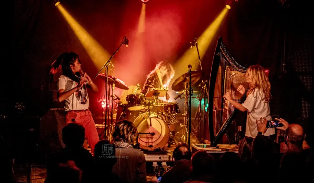 NOUT - Photo: Frank Schindelbeck