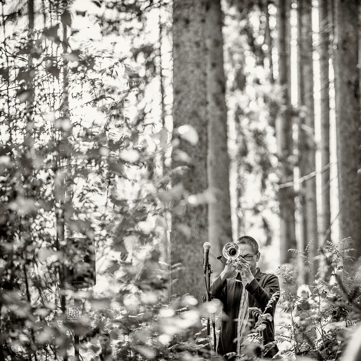 Cuong Vu - Frank Schindelbeck Fotografie