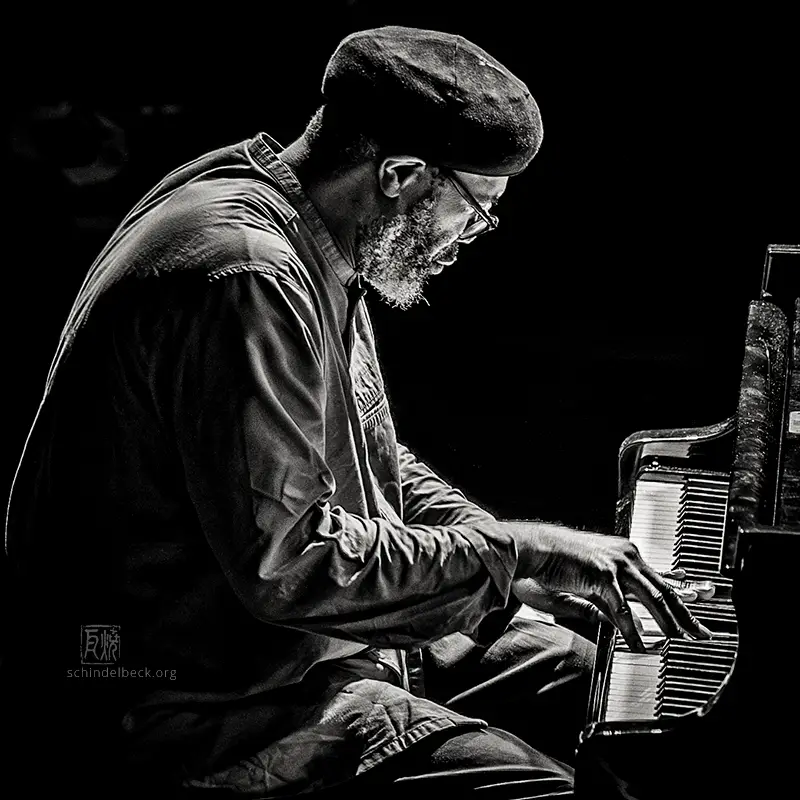 Pat Thomas - Photo: Frank Schindelbeck Jazzfotografie