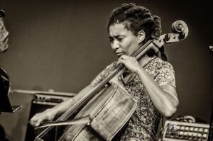 Tomeka Reid Jazzfestival Saalfelden 2016 - Photo: Frank Schindelbeck