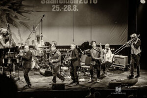 Jazzfestival Saalfelden 2016 - Photo: Frank Schindelbeck