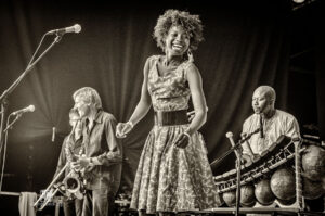 Jazzfestival Saalfelden 2016 - Photo: Frank Schindelbeck