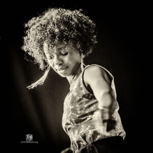 Jazzfestival Saalfelden 2016 - Photo: Frank Schindelbeck