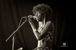 Jazzfestival Saalfelden 2016 - Photo: Frank Schindelbeck