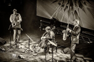 Jazzfestival Saalfelden 2016 - Photo: Frank Schindelbeck