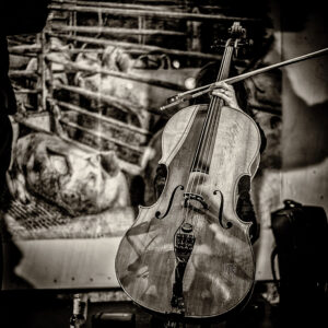 Jazz & The City 2019 - Photo: Frank Schindelbeck