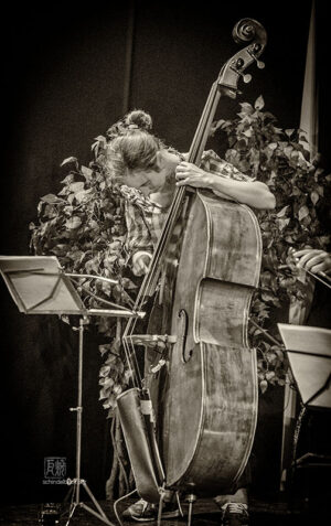 Chiffchaff Jazzclub Heidelberg 2015 - Photo Schindelbeck