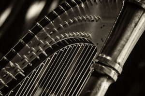 Kathrin Pechlof Trio (mit Christian Weidner und Robert Landfermann) Mannheim 160412 - Schindelbeck