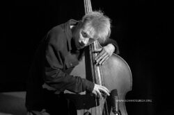 Neuer Deutscher Jazzpreis 2012 - Lehmler, Kiesselbach, Renken - Photo: Schindelbeck