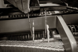 Zoubek / Helm / Mahnig - Photo: Schindelbeck