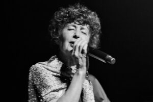 The South - Glaser, Boesser-Ferrari, Kreusch, Zakotnik - Foto: Rinderspacher