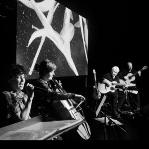 The South - Glaser, Boesser-Ferrari, Kreusch, Zakotnik - Foto: Rinderspacher