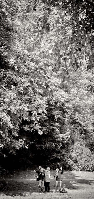 Moers Festival 2025 - Photo: Frank Schindelbeck Jazzfotografie