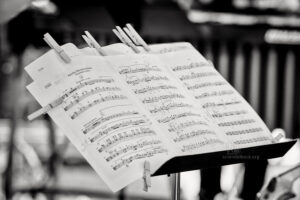 Moers Festival 2025 - Photo: Frank Schindelbeck Jazzfotografie