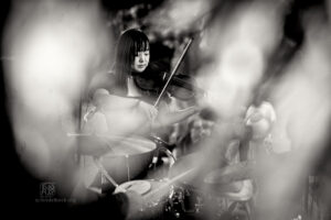 Moers Festival 2025 - Photo: Frank Schindelbeck Jazzfotografie