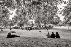 Moers Festival 2025 - Photo: Frank Schindelbeck Jazzfotografie