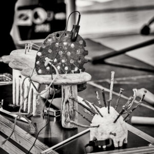 Moers Festival 2025 - Photo: Frank Schindelbeck Jazzfotografie