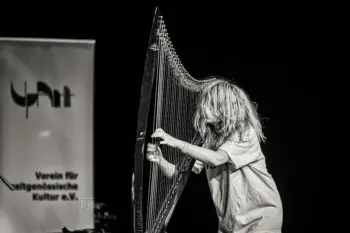 Nout - Akut Festival Mainz 2025