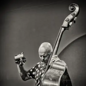 Jazzfestival Saalfelden 2025 - Photo: Frank Schindelbeck Jazzfotografie