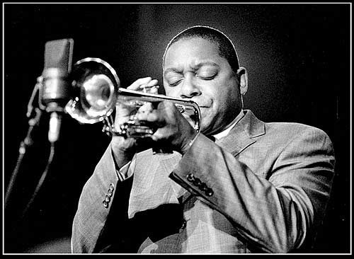 Wynton Marsalis - photography: Jost L. Knaepen