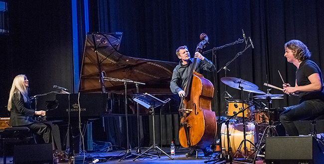Anke Helfrich Trio - Photo: Mümpfer