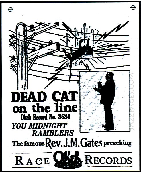 Dead Cat On The Line - Werbung Grafik