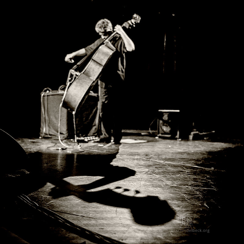 Renaud Garcia-Fons - Photo: Schindelbeck Jazzfotografie