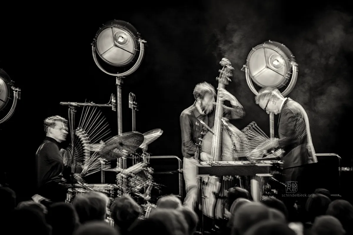 Christopher Dell SWR Jazzpreis 2025 - Photo: Frank Schindelbeck Jazzfotografie