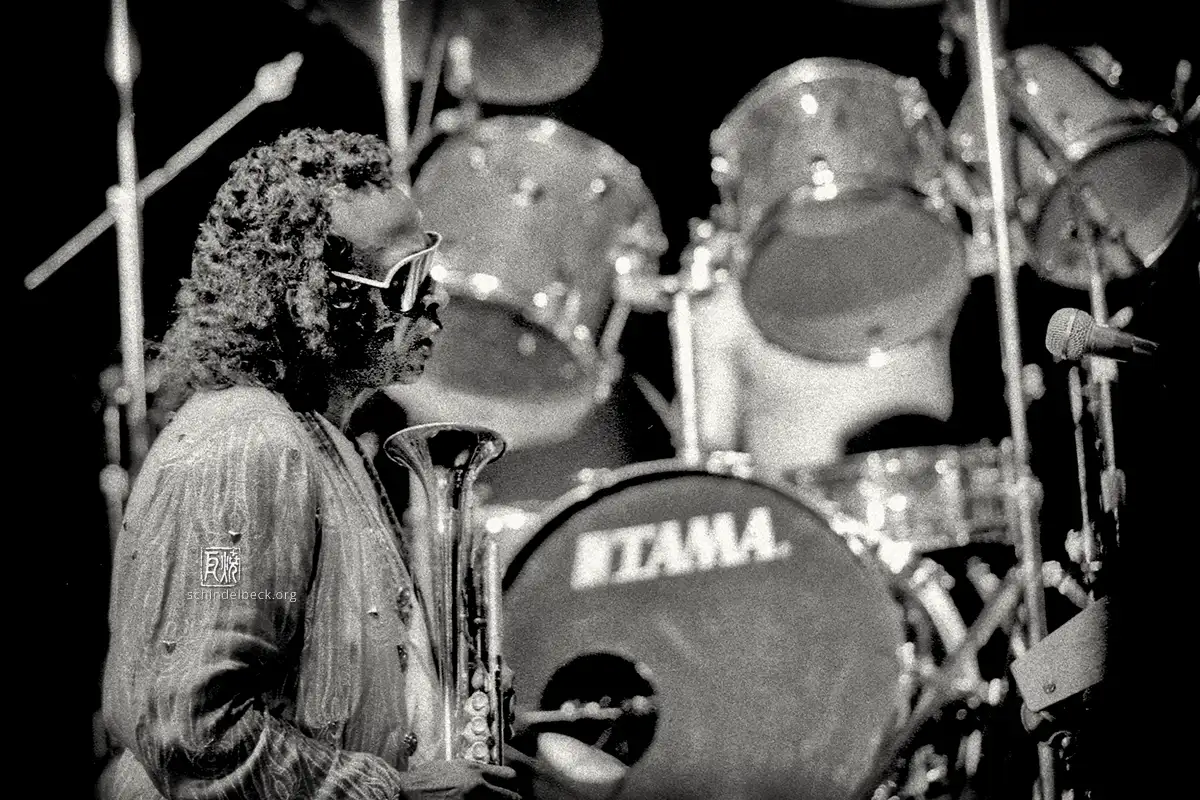 Miles Davis - Photo: Frank Schindelbeck Jazzfotografie