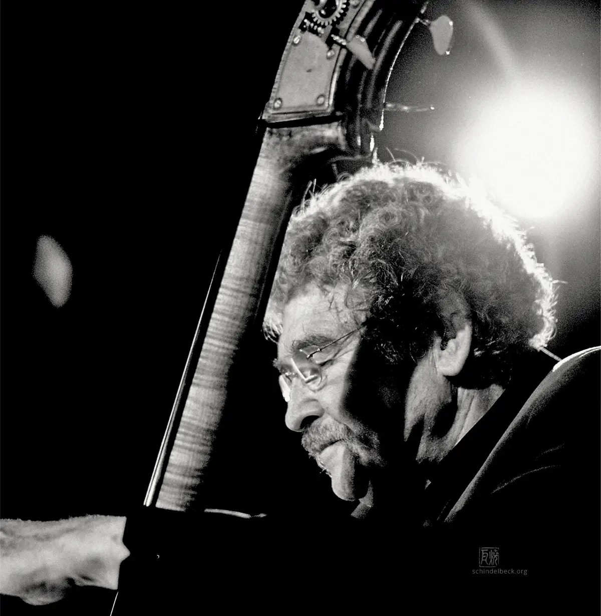 Günter Lenz - Photo: Frank Schindelbeck