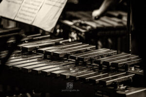 Mannheimer Schlagwerk 180425 - Photos: Frank Schindelbeck Jazzf