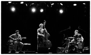 Ditzner, Parker, Gramss, Enjoy Jazz 2012 - Schindelbeck