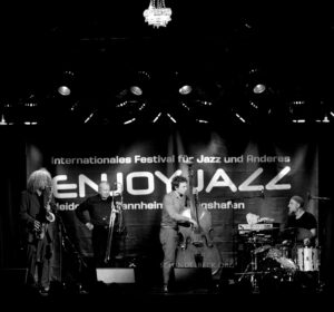 Ditzner / Bauer, Lehmann / Gramss - Enjoy Jazz 2011 - Photo: Frank Schindelbeck
