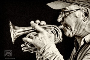 Rainer Push Horn Please 2015 - Photo Schindelbeck