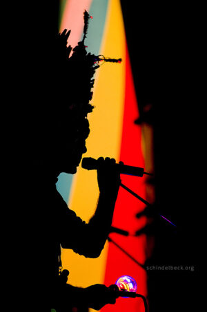 Finkenbach Festival 2012 - Photo: Frank Schindelbeck