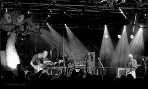 Finkenbach Festival 2012 - Photo: Frank Schindelbeck