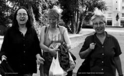 Schweizer - Photo: Rinderspacher