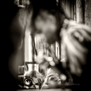 Saalfelden 2021 - Photo: Schindelbeck