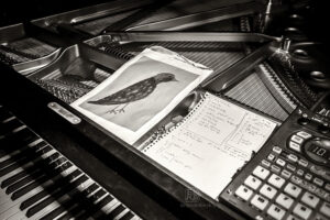 Alexander Hawkins Trio bei art.ist i Wiesbaden - Photo: Frank Schindelbeck