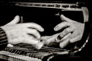 Alexander Hawkins Trio bei art.ist i Wiesbaden - Photo: Frank Schindelbeck