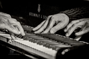 Alexander Hawkins Trio bei art.ist i Wiesbaden - Photo: Frank Schindelbeck