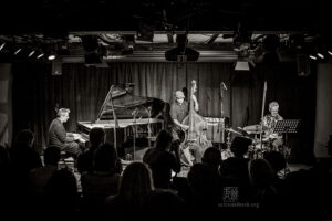 Alexander Hawkins Trio bei art.ist i Wiesbaden - Photo: Frank Schindelbeck
