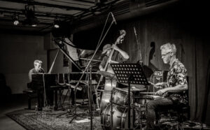 Alexander Hawkins Trio bei art.ist i Wiesbaden - Photo: Frank Schindelbeck