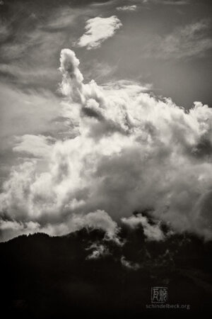 - Jazzfestival Saalfelden - Photo: Schindelbeck