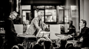 DRA - Dell, Ramond, Astor - Jazz im Busch 231116 - Photo: Frank Schindelbeck