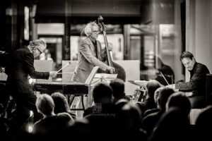 DRA - Dell, Ramond, Astor - Jazz im Busch 231116 - Photo: Frank Schindelbeck