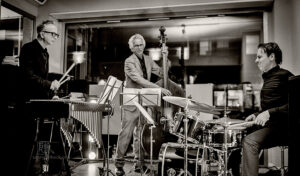 DRA - Dell, Ramond, Astor - Jazz im Busch 231116 - Photo: Frank Schindelbeck