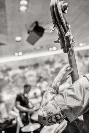 Jazzfestival Saalfelden 2024 - Photo: Frank Schindelbeck Jazzfotografie