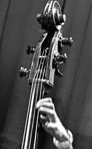 Goldbach - Bartok Revisited - Photo: Rinderspacher