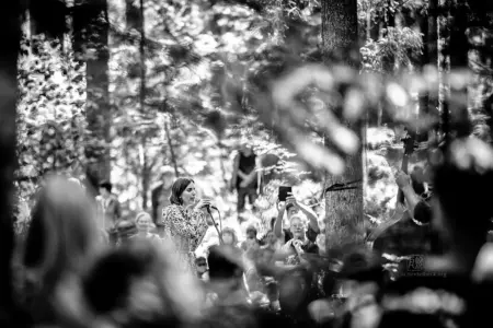 Jazzfestival Saalfelden 2026 - im Wald mit Almut Kühne, Max Andrzejewski, Lukas Kranzelbinder - Schindelbeck Fotografie